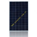 Poly-crystalline Silicon Solar Module 220W